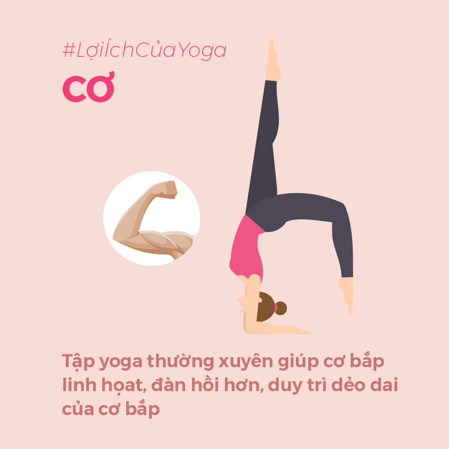 loi ich cua yoga 1